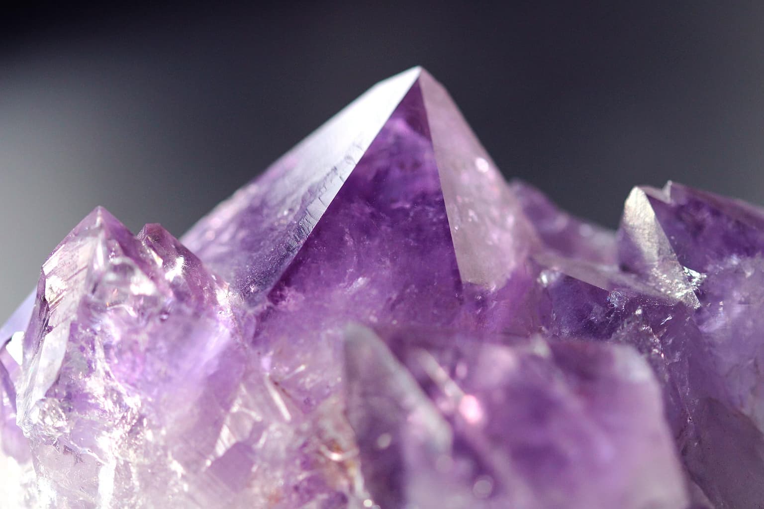 A macro photograph of purple amethyst crystal points rising from a cluster